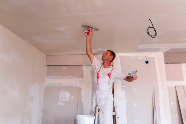 Best Ceiling Drywall Installation  in Tamalpais Homestead Valley, CA